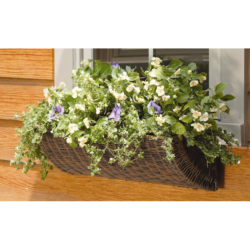 DMC All Weather Resin Window Box Planter & Reviews Wayfair